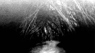 Nortt - Intethedens Morke