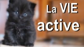 022 LA VIE ACTIVE