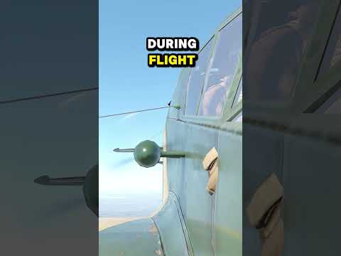 Warum hat das S.M.79 einen rotierenden LÜFTER?