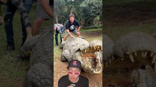 El cocodrilo más grande del mundo