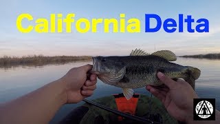 Bass Fishing at the California Delta for the First Time!