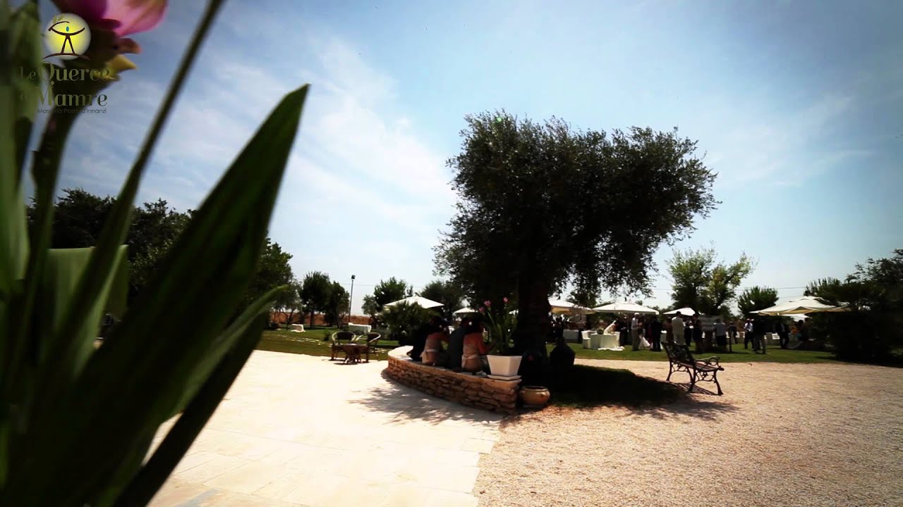 Video Le Querce Di Mamre