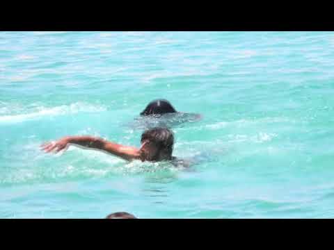 Al Jazeera Svijet 13.08.2017. - Nedjelja 21:30