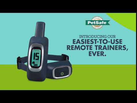 The Easiest-to-Use Dog Training Tool, Ever