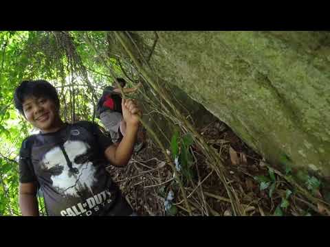 Trek to waterfalls - UNCUT | Dauin, Negros Oriental