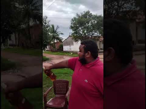 APOLO É SUCESSO. DE DAVINÓPOLIS MARANHÃO PARA O MUNDO