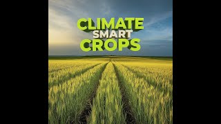 Can We Eat Our Way Out of Climate Change? | Global Empowerment Leadership