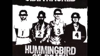 Hummingbird of Death - Split 6