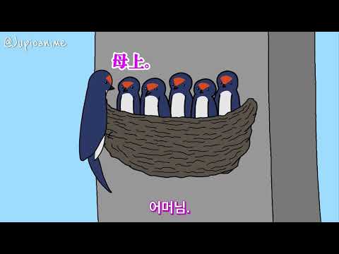 아이콘