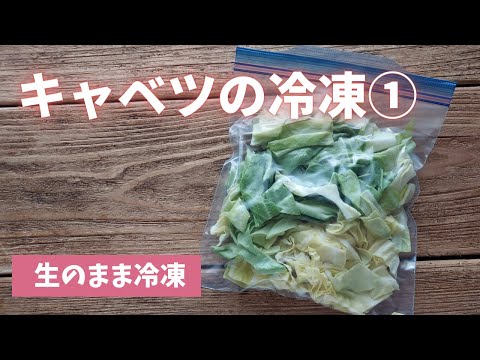 サボイキャベツの冷凍:正しい方法は? 植物