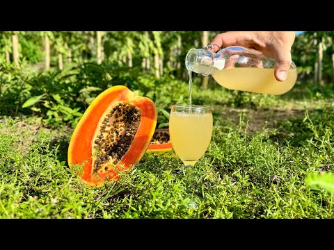 VINO di PAPAIA fatto in casa