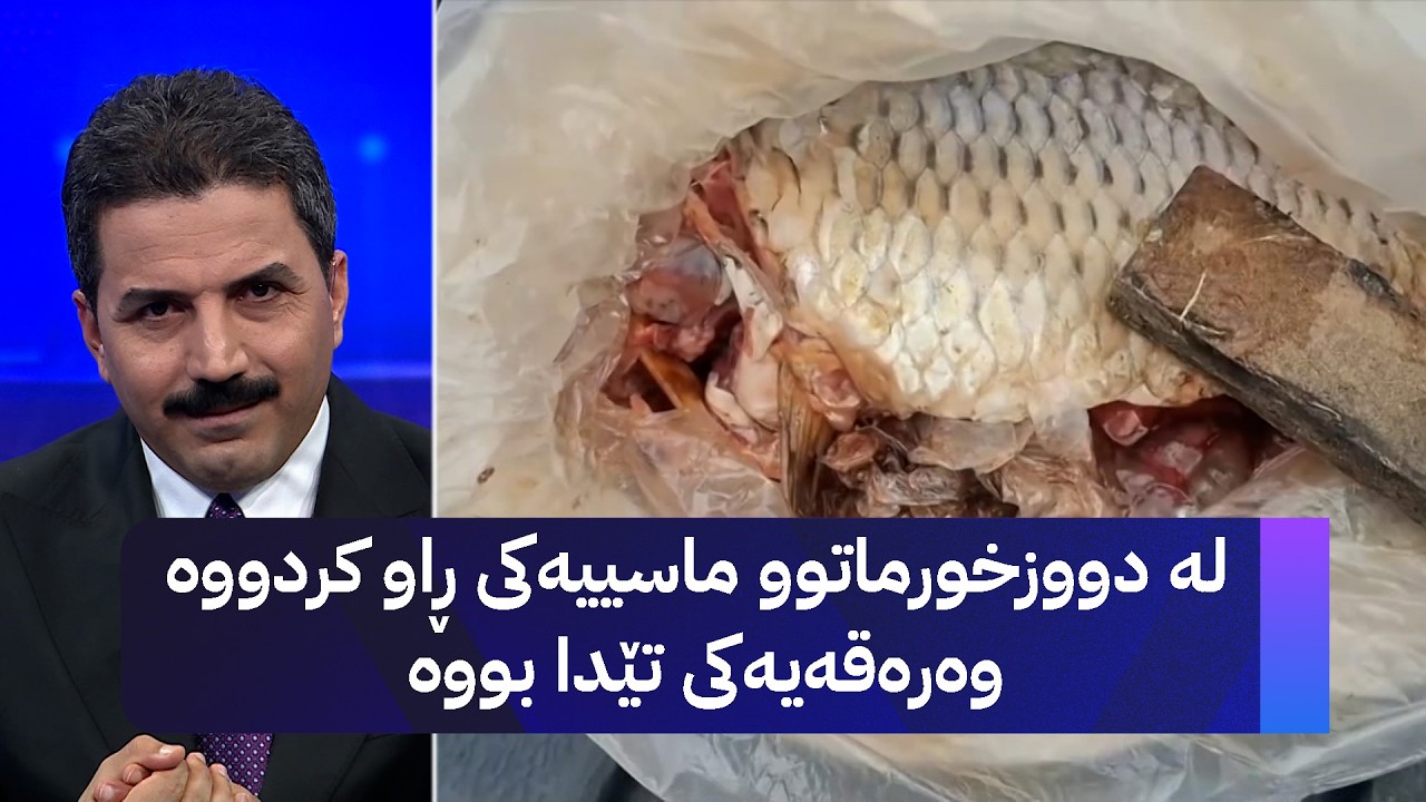 ڤیدیۆ | لە دووزخورماتوو ماسییەکی ڕاو کردووە وەرەقەیەکی تێدا بووە