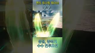 히유키 파츠 등장? 수수 응결 증폭기 확정