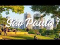 Top Things To Do In São Paulo Brazil Ultimate São Paulo Travel Guide