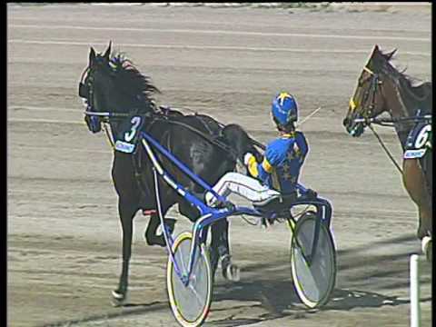 Trotto 14/05/2017 - 4ª corsa