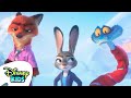 Who Said That Zootopia 2 ‪‪ Disneykids