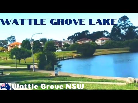 Wattle Grove Lake New South Wales Australia