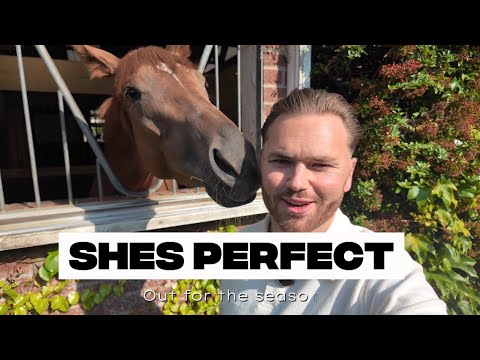 Shes Perfect - Injury Update 🐎