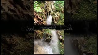 Download lagu Murottal surat munafiqun 10-11 ustadz abu usamah #shorts mp3