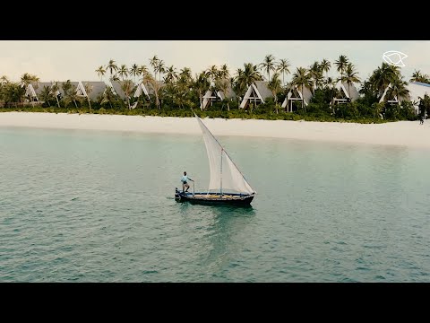 Videos del Oaga Art Resort Maldives 5★ en Atolón de Malé Norte, MaldivasVer MásVerPrecios8CerrarConsulta por Whatsapp 🇦🇷BookingTripadvisorExpediaTripSkyscannerKayakHotelesDestinia