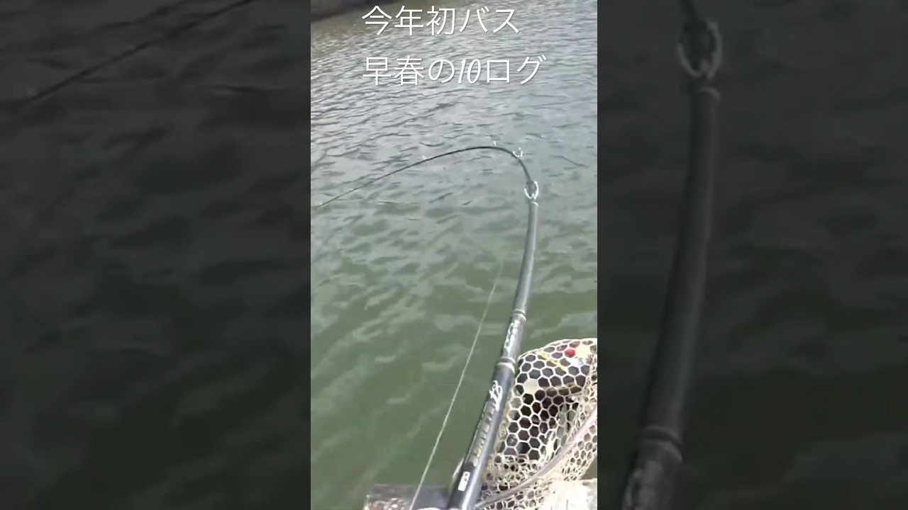 早春、初バスいきなり食った。パーフェクト10ログ