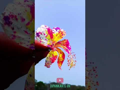 Flowers style#flowers# holi specials# Shorts#India @DIPANKAR IS ON