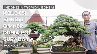 Download lagu Take a peek at the bonsai collection of Surabaya-based bonsai pot master, Mr. Agus Dunia Pot. mp3