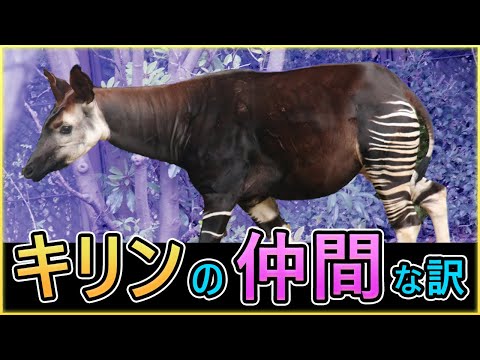 IUCN分類における絶滅の危険性を示す図。