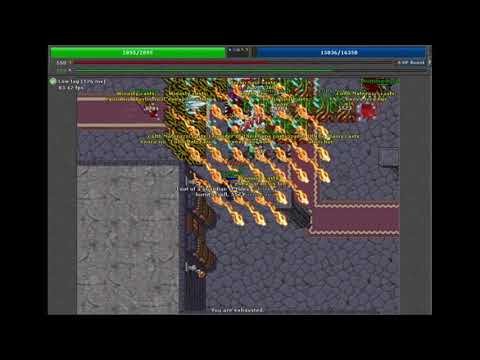 Hunt libreria de fuego x5