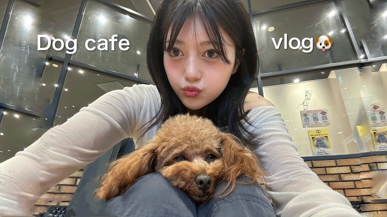 【vlog】24歳女がドッグカフェでメロメロ🐶可愛い犬に囲まれて癒し天国すぎた