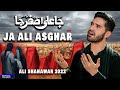 Ja Ali Asghar Ali Shanawar 2022 1444