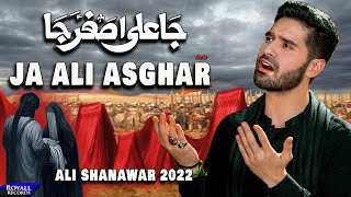 Ja Ali Asghar  Ali Shanawar  2022  1444