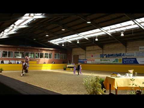 Weser-Ems Meisterschaft 2015 Venne1 Kür