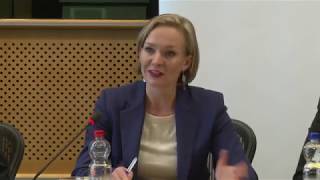 Software Vulnerability Disclosure in Europe