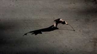 A Winged Victory For The Sullen - Atomos X