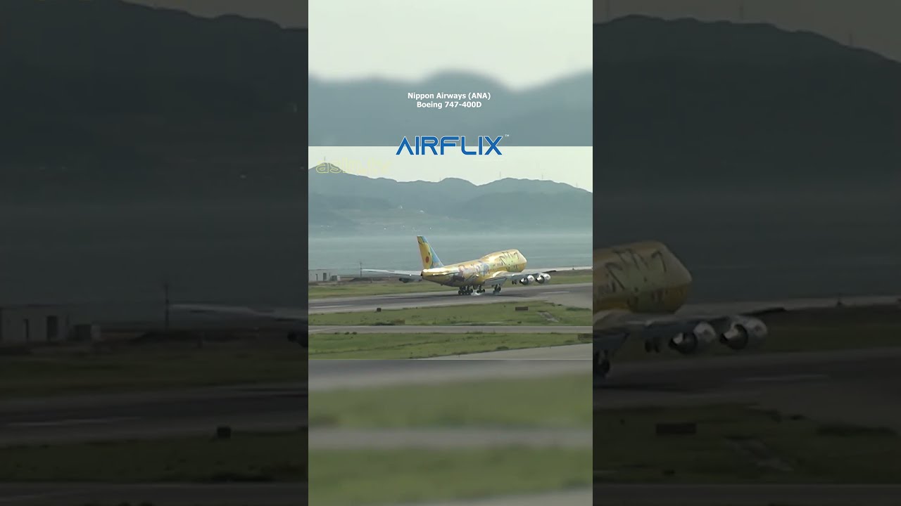 All Nippon Airways ANA Signet thumbnail