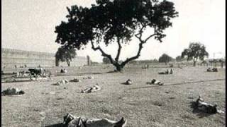 Michael Head & The Strands - Green Velvet Jacket