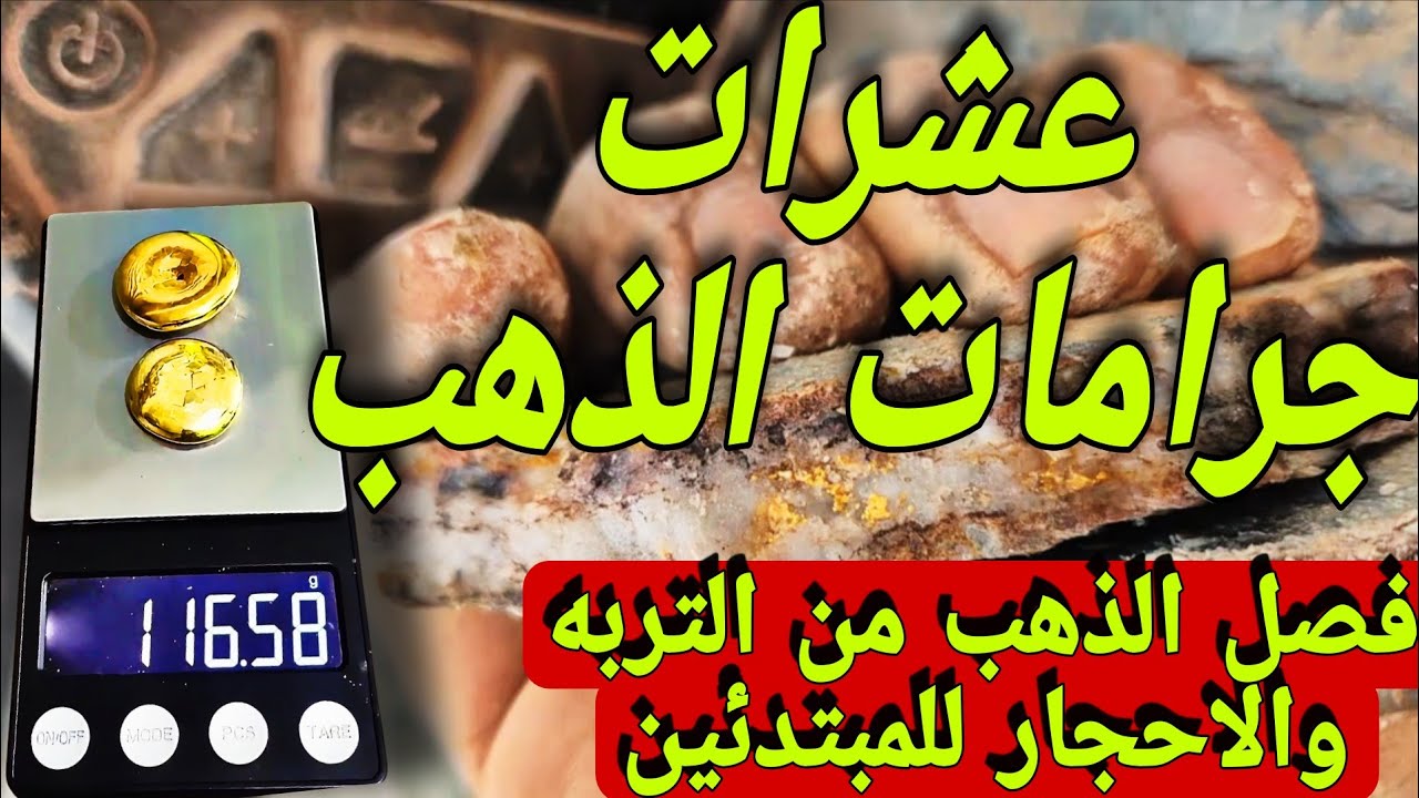 "كيف تحصل على عشرات جرامات الذهب؟ دليل المبتدئين خطوة بخطوة"