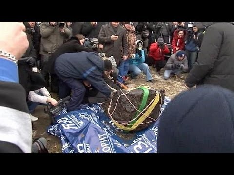 Pone per i giovani membri della Maestà Aumentare il video Iscritto