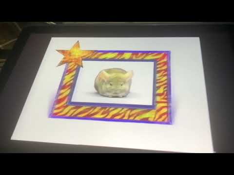 And now, Henry’s Amazing Golden Gecko Award for the all-time best Amazing Animal Survivor!