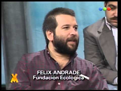 Debate Abierto con Alberto Albamonte, inicio - Videomatch 97