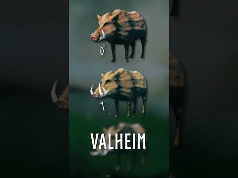 Valheim's Boars RARE trait! #gaming #valheim #survivalgame #guide #irongate #secret #facts