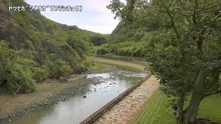 八ッ瀬映像監視局