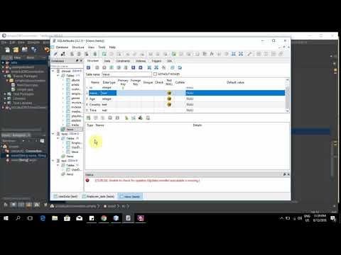 Inserting Data Into The Table With Sqlite And Java