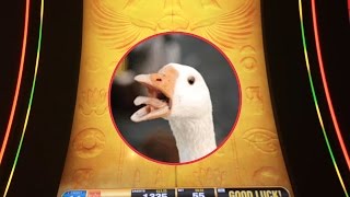 Bally, Rise of Ra slot machine, another bonus fail, Goose agrees