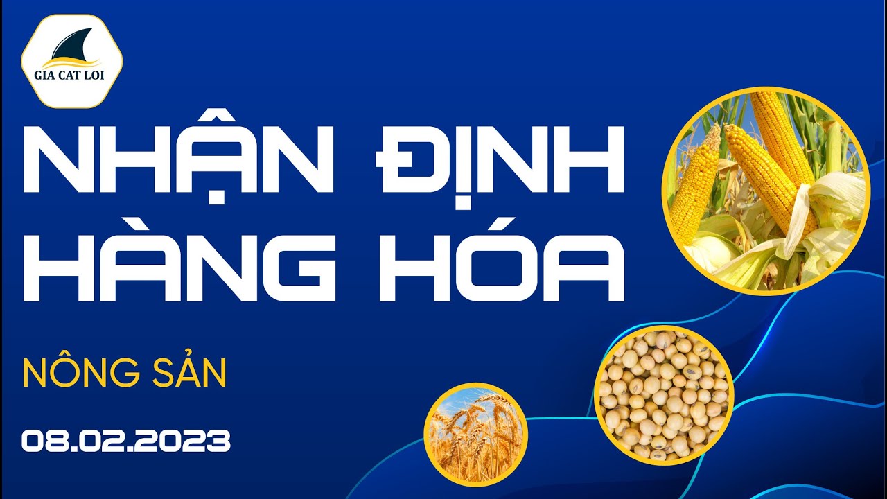 Nhận Định Hàng Hoá Nông Sản Ngày 08/02/2023