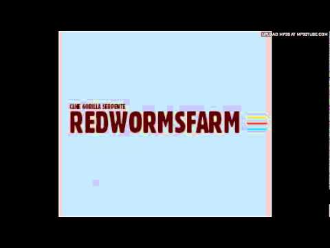 Red Worms' Farm - The Kingdom Rules