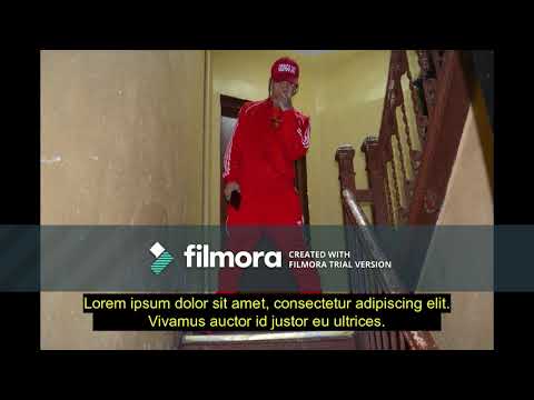 Andel king ft gringo jay x un plan