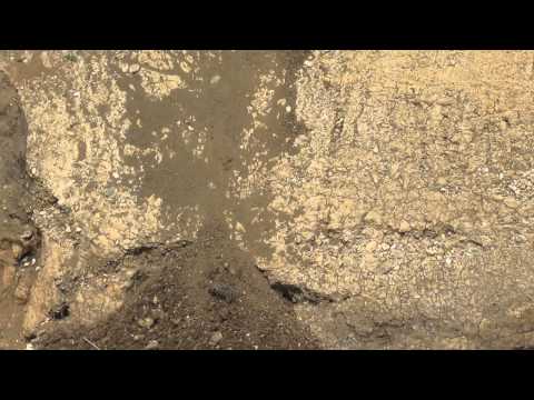 pod inaugurat poiana lacului