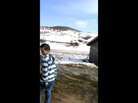 Hasan Redžić -uživo 2016- Trepetiljka trepetala